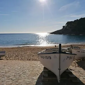 hotel-tamariu.topcostabravahotels.com/